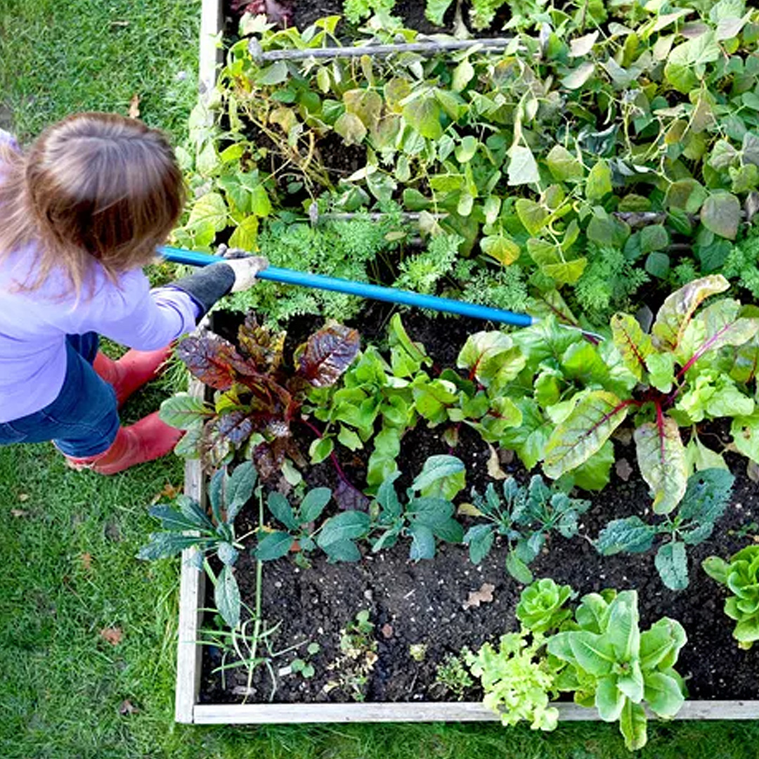 Late Spring Gardener's Calendar