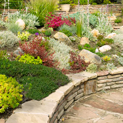 rock gardens