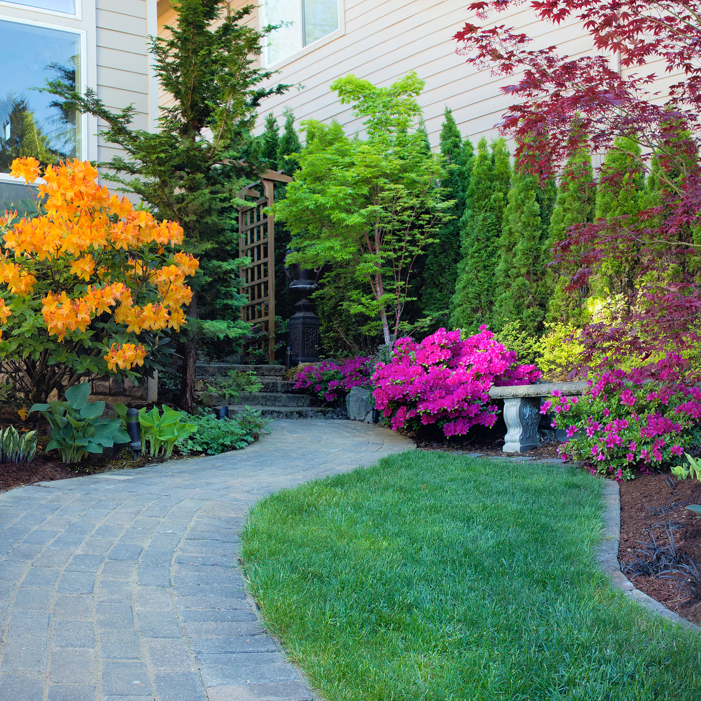Enhanced Garden Hedge Border
