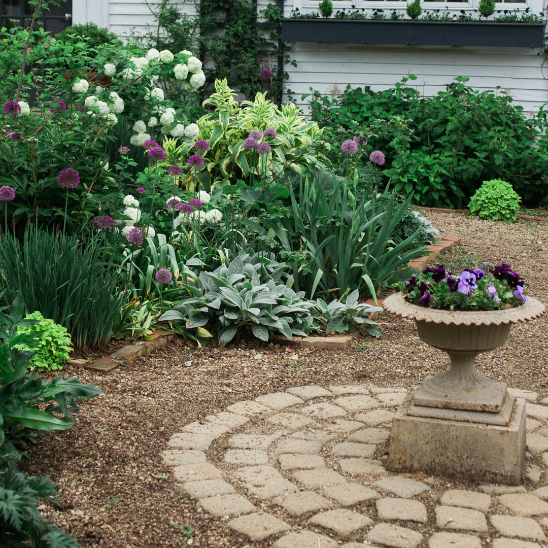 Power of Mulching